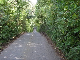 Hexenberg zwischen Goosefeld und Lehmsiek