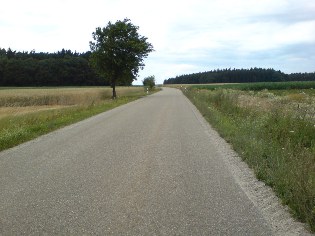 Donau-Radweg zwischen Bad Gögging und Weltenburg