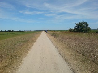 Ostsee-Radweg zwischen Ahrenshoop und Born
