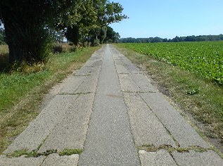 Ostsee-Radweg in Damitz
