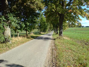 Unterwegs auf dem Ostsee-Radweg in Groß Schoritz auf der Insel Rügen