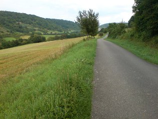 Radweg Liebliches Taubertal zwischen Archshofen und Tauberzell